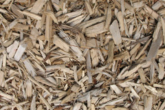 biomass boilers Blannicombe